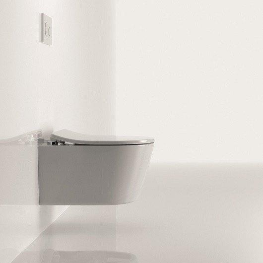 Toto RP Крышка-сиденье для унитаза, с микролифтом и шарнирами из нерж. стали, цвет: белый глянцевый TC513Q