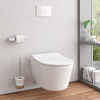 Toto RP Крышка-сиденье для унитаза, с микролифтом и шарнирами из нерж. стали, цвет: белый глянцевый TC513Q