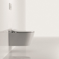 Toto RP Крышка-сиденье для унитаза, с микролифтом и шарнирами из нерж. стали, цвет: белый глянцевый TC513Q