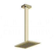 Gessi Rettangolo Верхний душ 14х21,6 см, потолоч. высота под заказ, 1 вид струи, цвет: brass PVD 20150#710