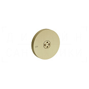 Gessi Body Jets Душевая форсунка с распылителем d6,5 см, цвет: brushed brass PVD 32977#727