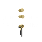 Gessi Outdoor Набор для душевой стойки: ручки, ручной душ, шланг 150 cм, цвет: brushed brass PVD 63216#727