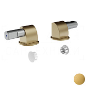 Gessi Total Look Петли плавного закрывания сиденья унитаза с заглушками, цвет: gold brushed 37584#716