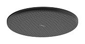 Hansgrohe Raindance Alive S Верхний душ 30 см, 1 режим, без кронштейна, цвет: матовый черный 24523670
