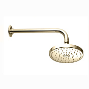 Nicolazzi Doccia Верхний душ 20 см, 1 вид струи, кронштейн настенный, цвет: polished nickel 5704NL20
